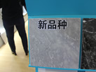 Ʒ - ʯ